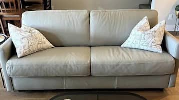 Smart TV, fireplace, stereo