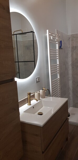 Shower, hair dryer, bidet, towels