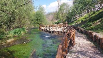 A wooden bridge over a clear stream surrounded by lush greenery.