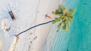 A beach with a palm tree, a hammock, and a rope leading to a shaded area. - Ari Grand Hotel & Spa (Dhangethi)