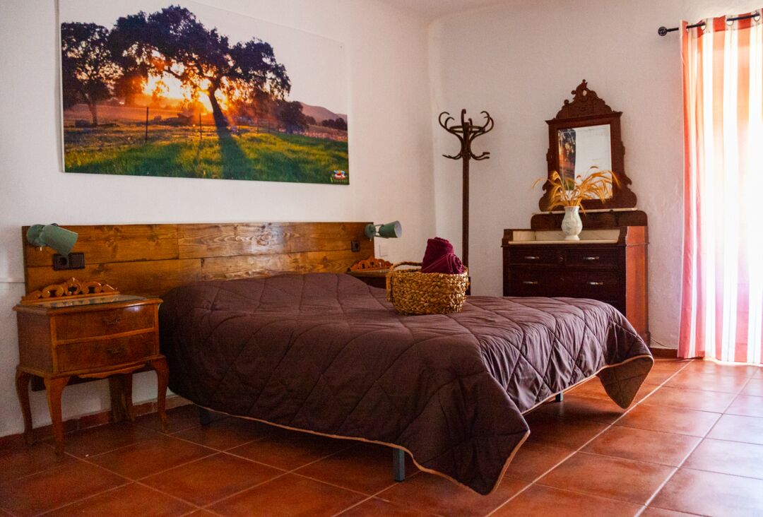 5 slaapkamers, luxe beddengoed, donsdekens, gratis wifi