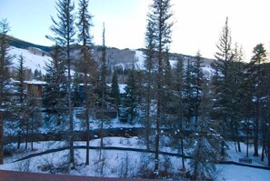 Condo, Multiple Beds (Apollo Park A205, 1BD Condo) | Property grounds
