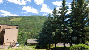 Condo, 1 King Bed with Sofa bed (Homestake B312, 1BD loft Vail vacatio) | Property grounds - Homestake B312, 1BD Loft Vail Vacation Condo (Vail)