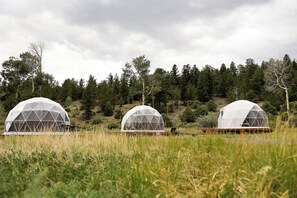Property grounds - Wedding Retreat in the CO Mountains–Celebrate, eat, sleep in one spot! Pets OK. (Villa Grove)