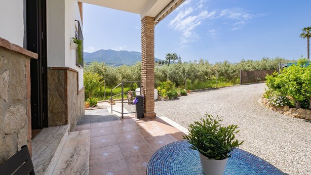A covered outdoor area with a tiled floor, a potted plant, and a view of mountains and greenery.