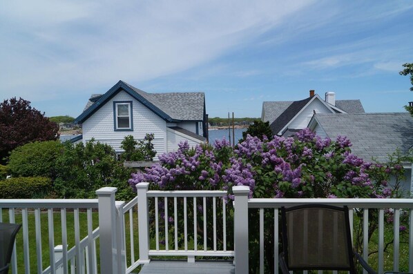 House, Multiple Beds (Short Sands View) | Property grounds