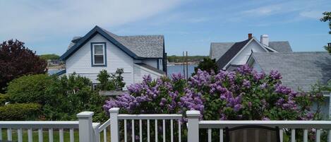 House, Multiple Beds (Short Sands View) | Property grounds