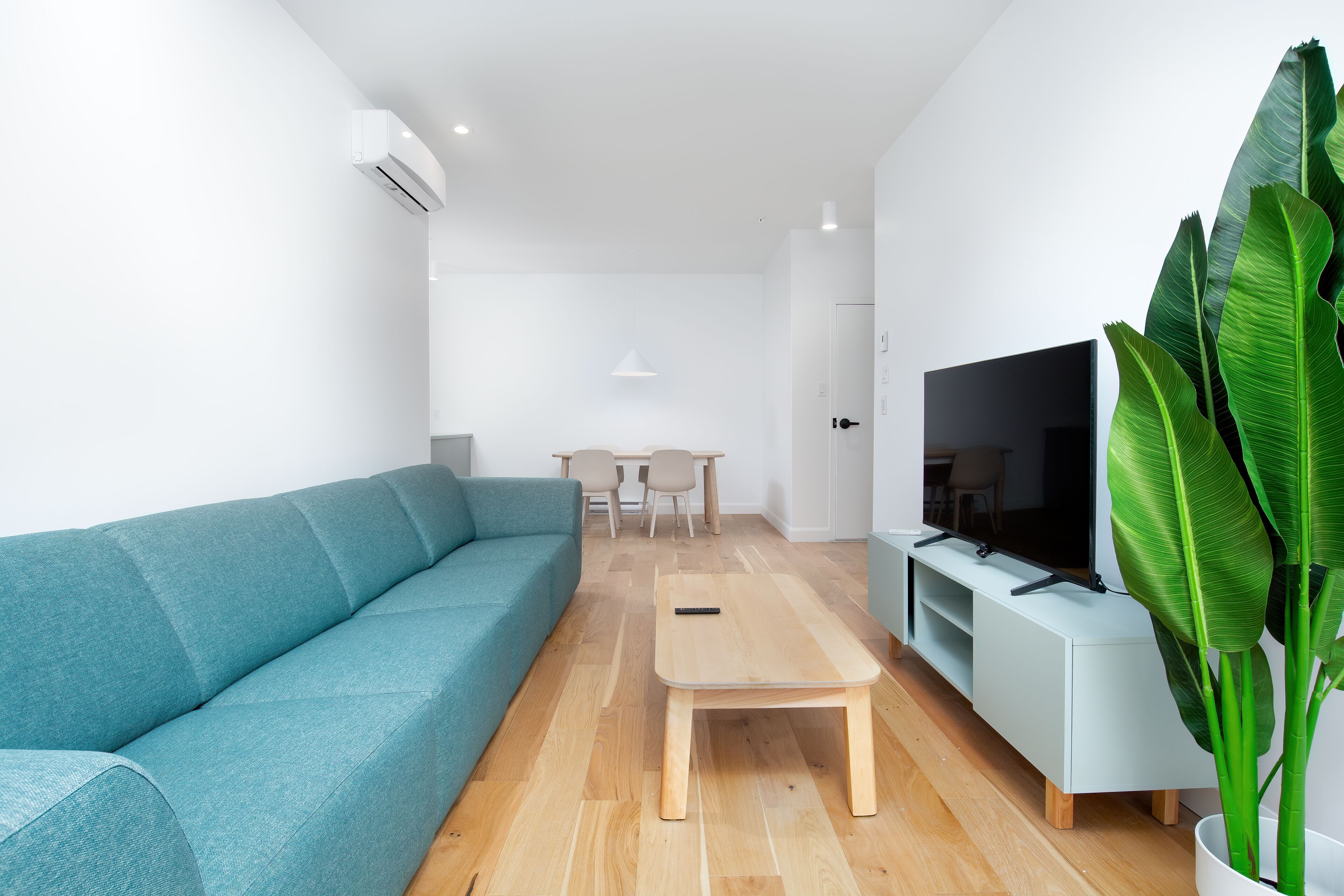 A modern living room with a teal sofa, a wooden coffee table, a TV on a white stand, a dining table with chairs, and a large green plant.