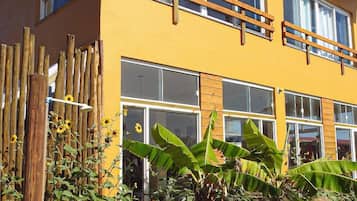 Suite estudio Deluxe | Terraza o patio