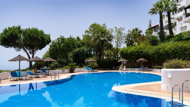 Una piscina con sillas de descanso y sombrillas, rodeada de vegetación y un edificio al fondo.