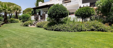 A modern villa with a well-maintained lawn, a pergola, and a variety of shrubs and trees.