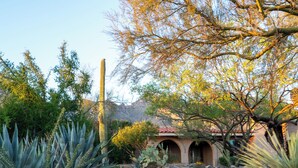 A desert garden with various cacti and succulents, a tall saguaro cactus, and a building with arches in the background. - Hacienda Riad: free pool heat, hot tub, views (Tucson)