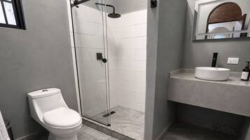 A modern bathroom with a glass-enclosed shower, a toilet, and a vanity with a sink and mirror.