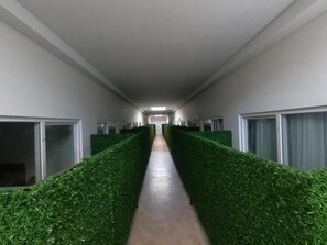 Habitación económica | Minibar y ropa de cama