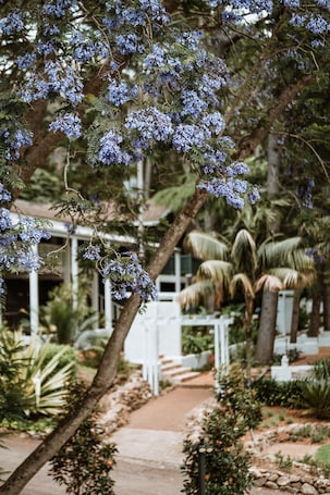 Property grounds. The Lodge Jamberoo