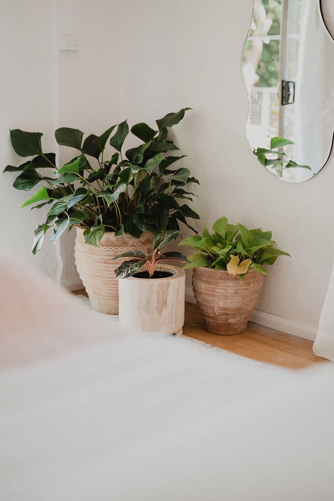 Couples treatment rooms, sauna, hot tub, body treatments, body wraps