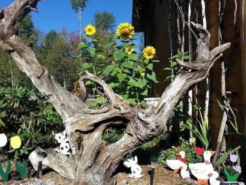 Adirondack Whiteface Mtn Retreat 