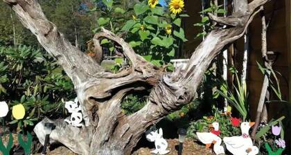 Adirondack Whiteface Mtn Retreat