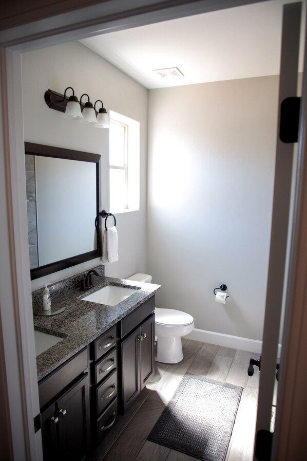 A modern bathroom with a granite countertop, a large mirror, a toilet, and a shower area.