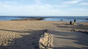 Una playa arenosa con cielo despejado.