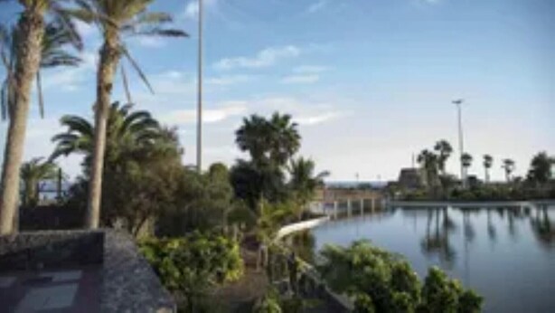 Una vista serena al borde del agua, con palmeras y una superficie acuática tranquila.
