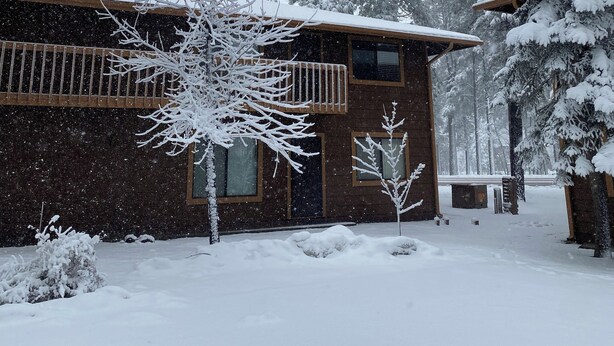 A cabin with a wooden exterior, surrounded by snow-covered trees. - Family Friendly Pines Condo-3b/2b (Pinetop-Lakeside)