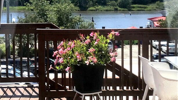 A wooden deck with a potted plant, a white chair, and a view of a lake and trees. - artsy downtown river view condo (Wilmington)