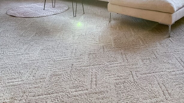 Un salon avec un canapé, une table basse, une lampe et une grande plante.