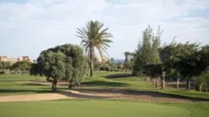 Un campo de golf con un camino despejado, árboles y una palmera al fondo.