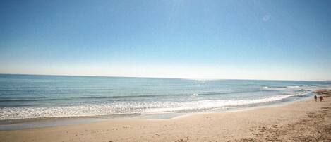 Plage à proximité