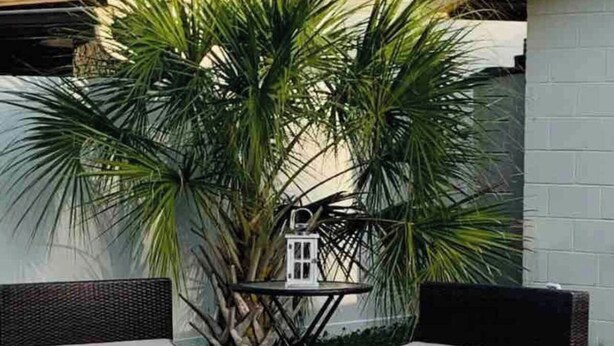 Un espace aménagé au bord de la piscine, avec deux fauteuils en osier, une lanterne et un foyer en pierre.