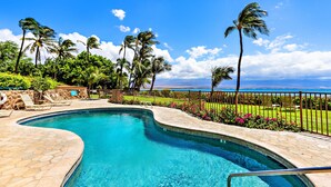 A swimming pool with a curved edge, surrounded by a stone deck and a fenced area with palm trees and a view of the ocean.