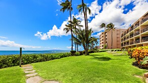 A well-maintained lawn with stone pathways, palm trees, and a view of the ocean.