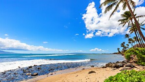 A beach with clear blue water, rocky shore, and palm trees.