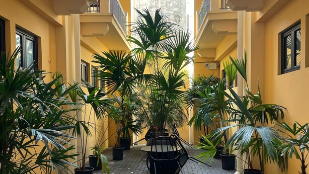 A courtyard with potted plants, a central table, and a view of a building in the background. - 2Rcondo balcony Surrounded by history with Modern Amenities (Panama City)