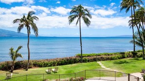 Vista de una playa tropical con palmeras y un cielo azul despejado.