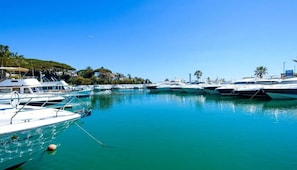 Marina