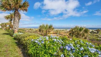 Condo (Island Palms Retreat) | Exterior