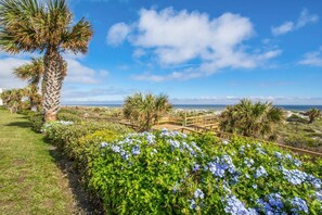 公寓客房 (Island Palms Retreat) | 外觀