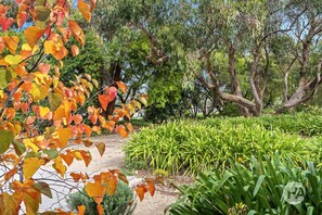 Property grounds - Coolart Studios: Studio One (Balnarring)