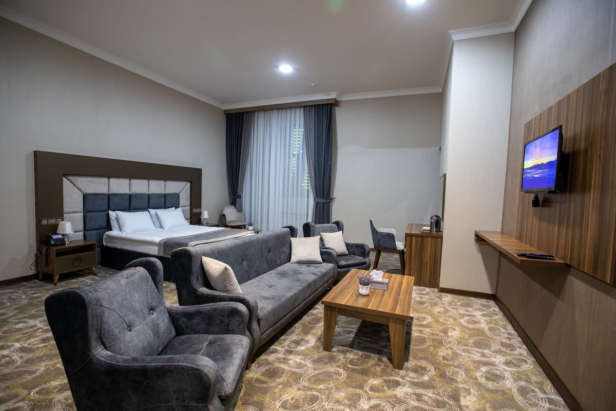 Une chambre d’hôtel comprenant un lit, un canapé, un fauteuil, une table basse, une télévision et un tapis à motifs.