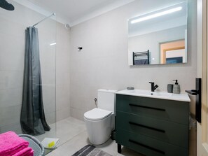 Shower, hair dryer, towels