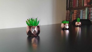 Une table sur laquelle sont posés deux pots décoratifs contenant des plantes vertes.