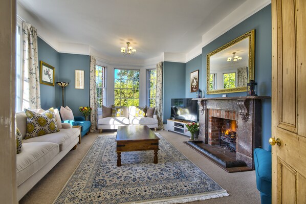 Smart TV, fireplace, books, stereo