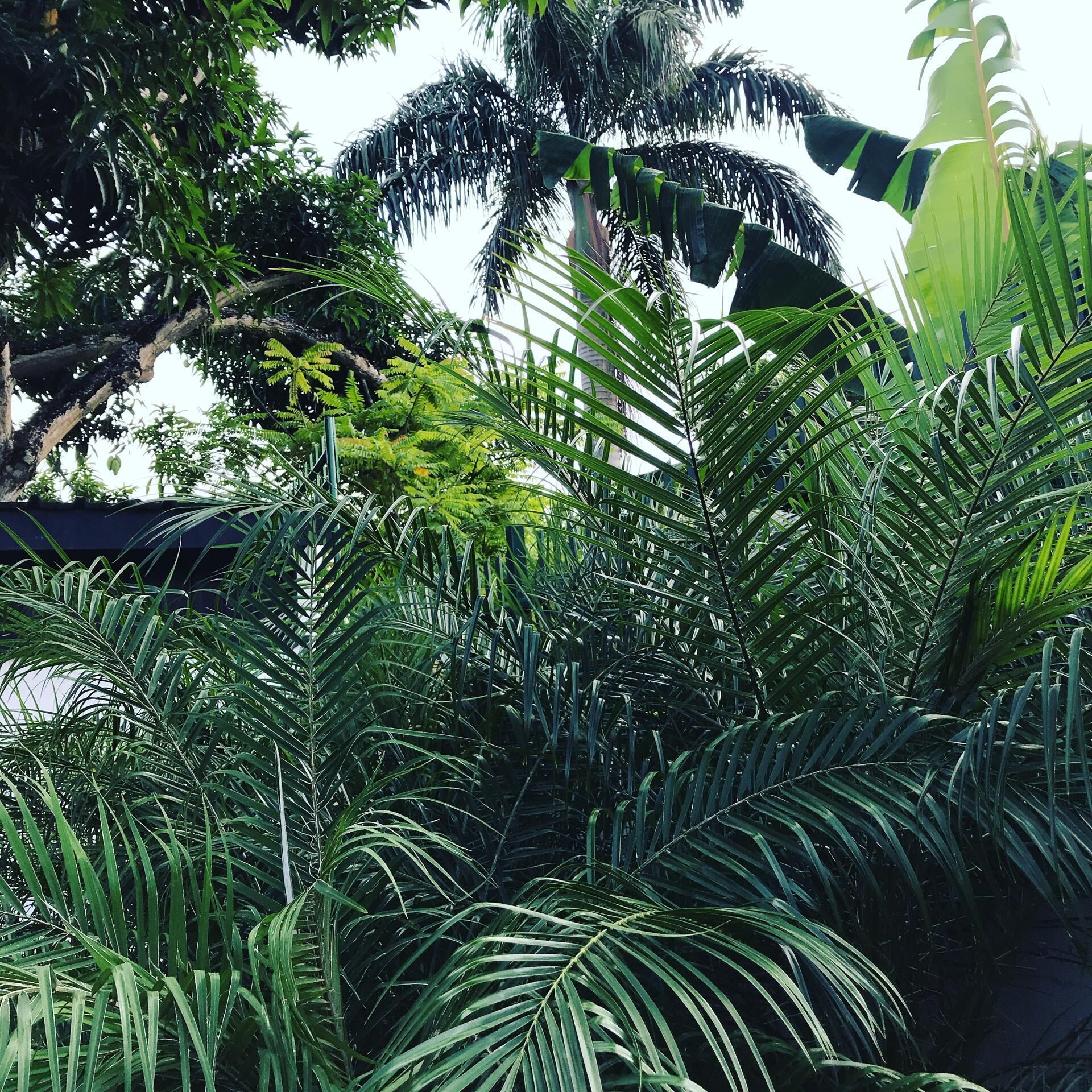 公寓, 1 張加大雙人床 | 住宿一隅