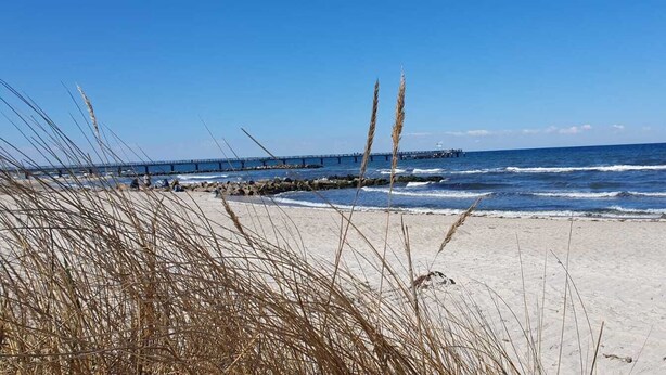 Ein Strand mit einer Steg, der sich ins Wasser erstreckt, feinem Sand und hohem Gras im Vordergrund.