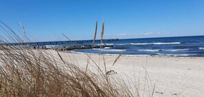A beach with a pier extending into the water, sandy beach, and tall grasses in the foreground.