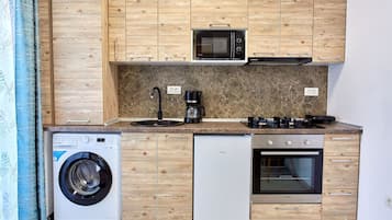 Classic Apartment | Private kitchen | Mini-fridge, stovetop, coffee/tea maker, cookware/dishes/utensils