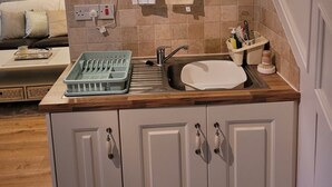 Une cuisine équipée d’un évier, d’un plan de travail, de placards, d’une étagère avec des plantes et d’un luminaire fixé au mur.