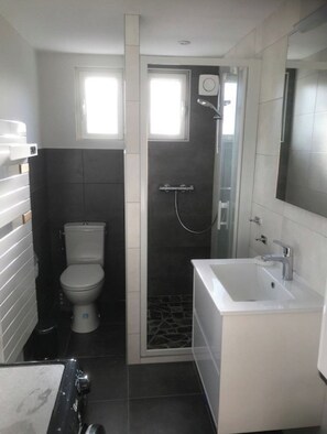 Bathroom features a white toilet, shower enclosure, and bathtub, with a large mirror above the bathtub.